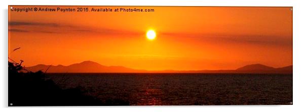  Shell island Sunset Acrylic by Andrew Poynton