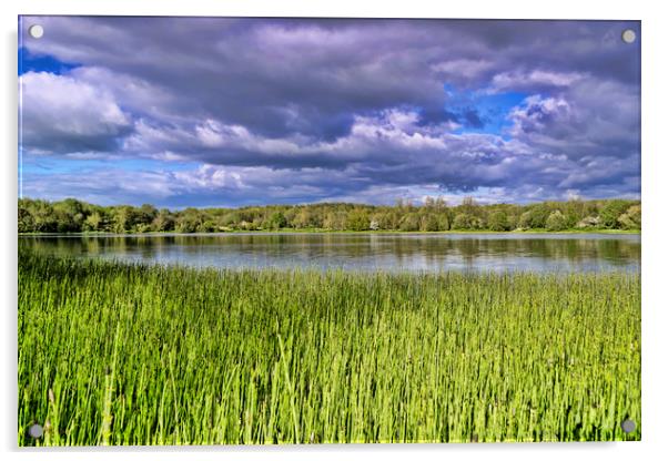 Eglinton Loch Acrylic by Valerie Paterson