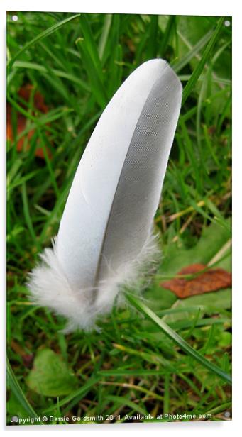 White and Grey Feather Acrylic by Bessie Goldsmith