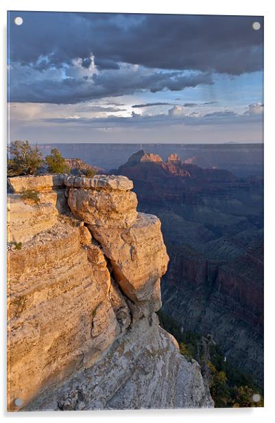 Split rock, Grand Canyon North Rim Acrylic by Gary Eason