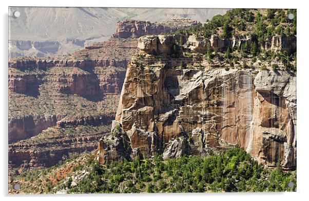 Rock weathering, Grand Canyon Acrylic by Gary Eason