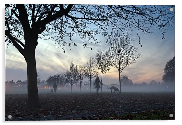 Misty afternoon in the park Acrylic by Gary Eason