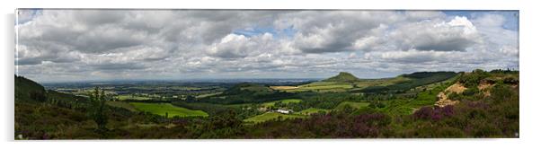 Tees plain and Roseberry Topping Acrylic by Gary Eason