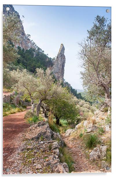 Mallorca walk Acrylic by Gary Eason