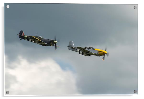 Spitfire and Mustang tail chase Acrylic by Gary Eason