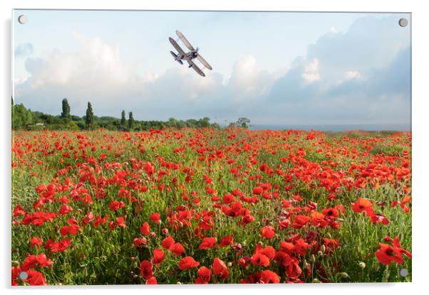 Gladiator over poppy field Acrylic by Gary Eason