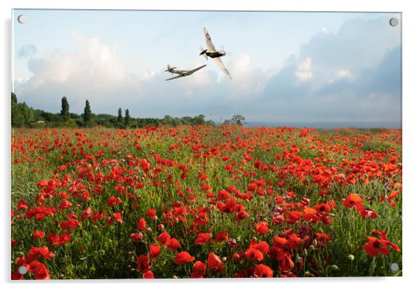 Hurricane and Spitfire over poppy field Acrylic by Gary Eason