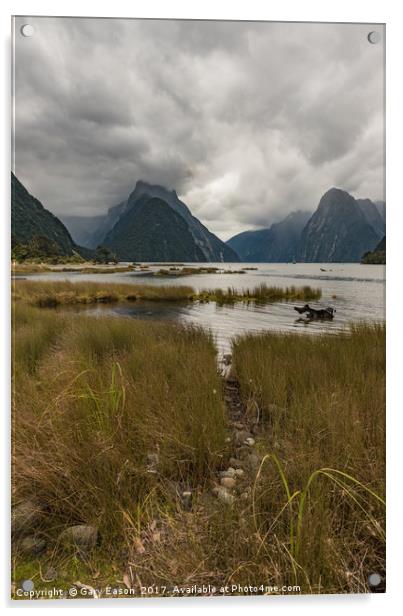 Low cloud in Milford Sound Acrylic by Gary Eason