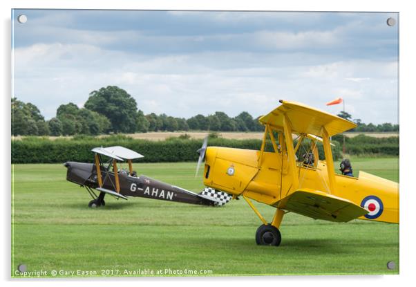De Havilland Tiger Moths taxiing Acrylic by Gary Eason