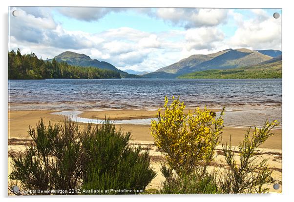 Loch Laggan Acrylic by Derek Whitton