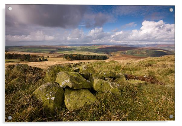 Eyam Moor, Derbyshire Acrylic by Andy Stafford