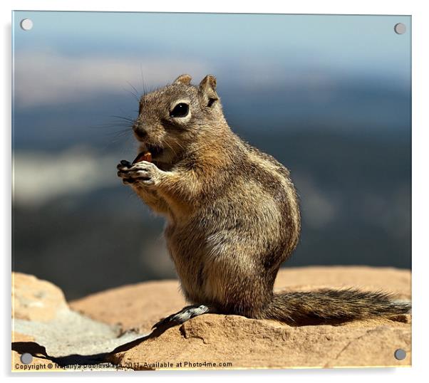 Ground squirrel from Utah. Acrylic by Nataliya Dubrovskaya