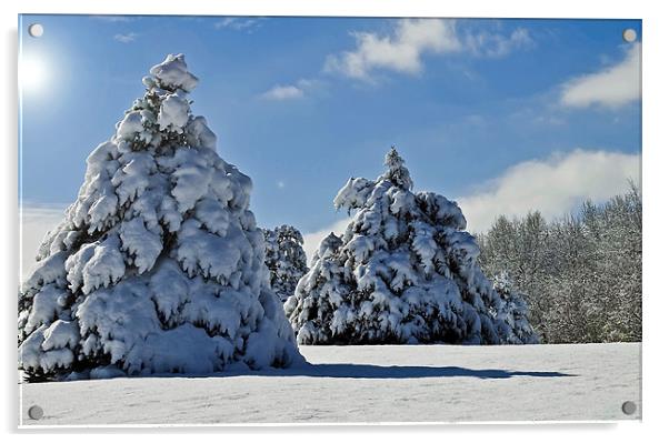 Winter trees Acrylic by Nataliya Dubrovskaya