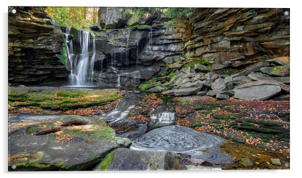 Blackwater Falls State Park, West Virginia, USA. Acrylic by Nataliya Dubrovskaya