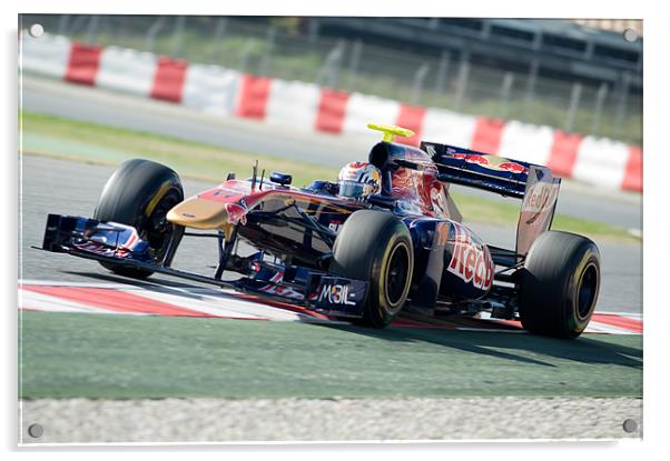 Sebastien Buemi - Toro Rosso 2011 Acrylic by SEAN RAMSELL