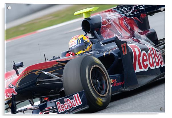 Jamie Alguersuari - Toro Rosso - 2010 Acrylic by SEAN RAMSELL