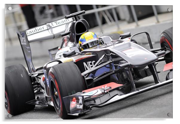 Esteban Gutiérrez Sauber F1 Team 2013 Acrylic by SEAN RAMSELL