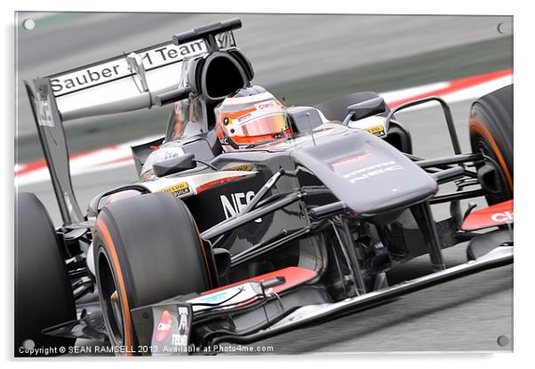Nico Hülkenberg - Sauber F1 Team 2013 Acrylic by SEAN RAMSELL