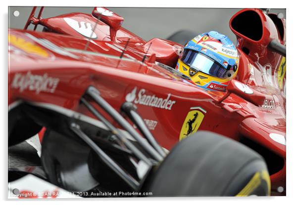 Fernando Alonso - Ferrari - 2013 Acrylic by SEAN RAMSELL
