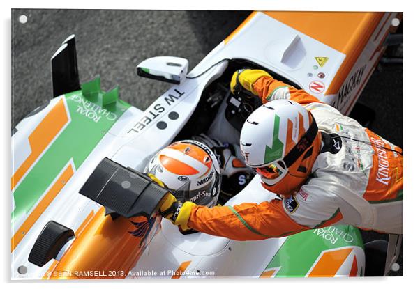 Adrian Sutil - Sahara Force India 2013 Acrylic by SEAN RAMSELL