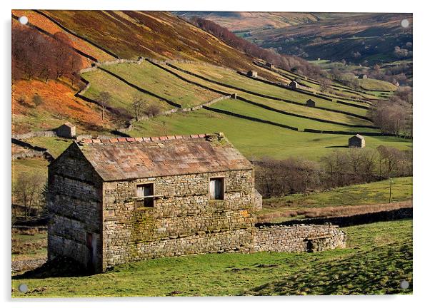 Swaledale Barns Acrylic by Neil Young