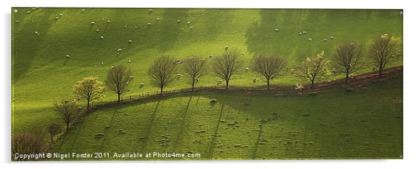 Epynt Trees Acrylic by Creative Photography Wales