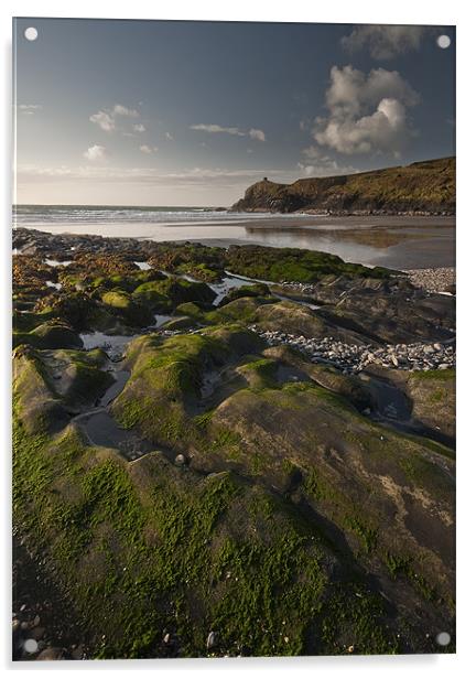 Seaweed, Abereiddy Acrylic by Creative Photography Wales