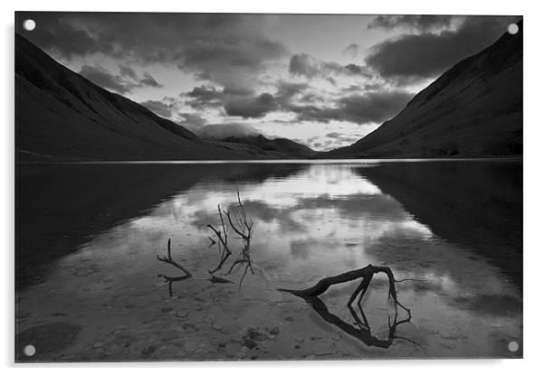 The Branch, Loch Etive Acrylic by Creative Photography Wales