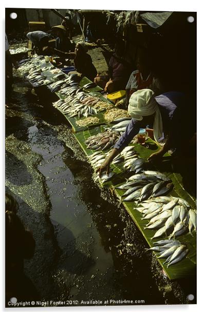The Fish Market Jakarta Acrylic by Creative Photography Wales