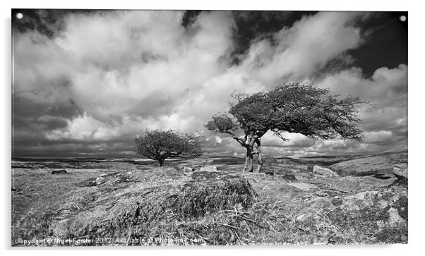 Wild tree on Dartmoor Acrylic by Creative Photography Wales