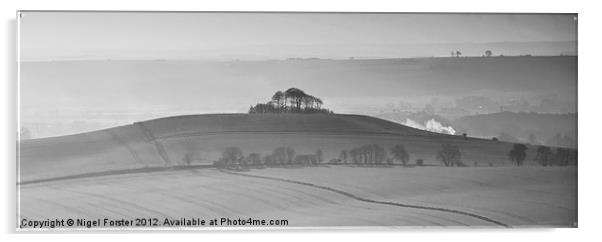 Pewsey Vale landscape Acrylic by Creative Photography Wales