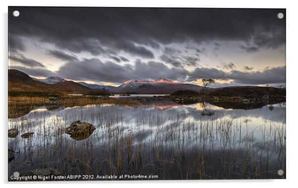 Loch Nah Achlaise Dawn Acrylic by Creative Photography Wales