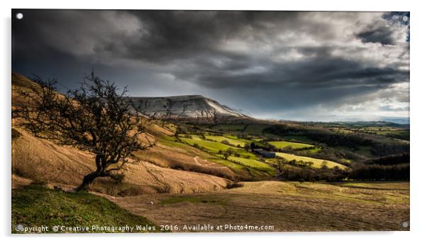 Hay Bluff Spring Landscape Acrylic by Creative Photography Wales