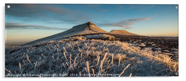 Frosted Grass Acrylic by Creative Photography Wales