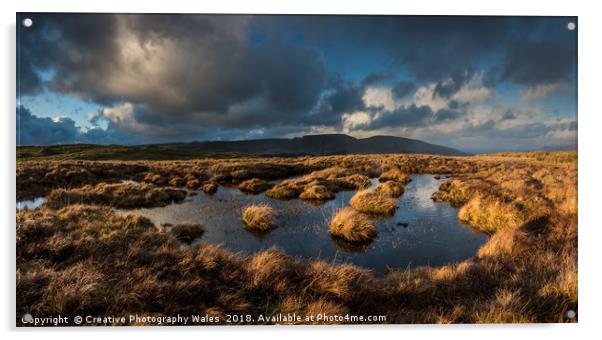 View to Tor y Foel, and Talybont Reservoir Brecon  Acrylic by Creative Photography Wales