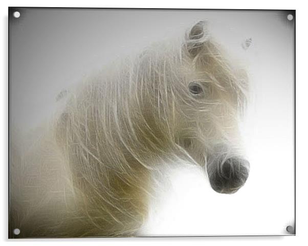 Spirit of a Horse Acrylic by Debra Kelday