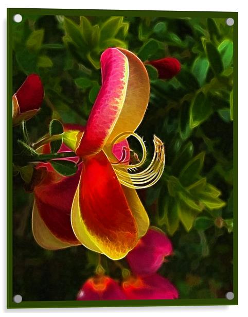 Red Broom Acrylic by Debra Kelday