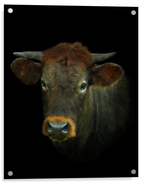 Young Bull Acrylic by Debra Kelday