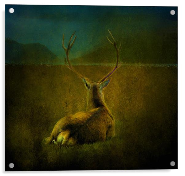 Deer Acrylic by Debra Kelday