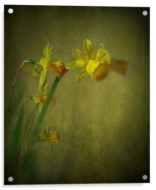 Daffodils Acrylic by Debra Kelday