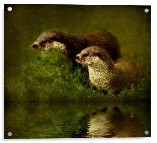 Otters Watch Acrylic by Debra Kelday