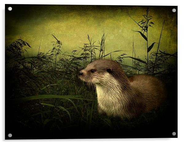Otter Acrylic by Debra Kelday