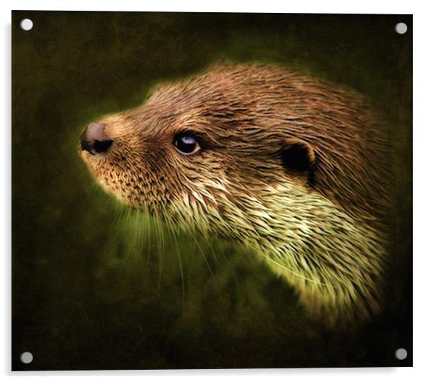 Otter, Lutra lutra. Acrylic by Debra Kelday
