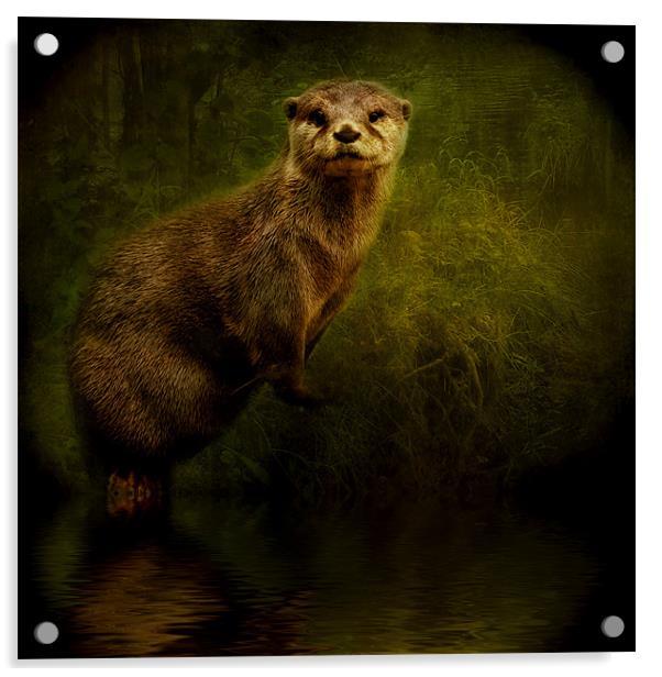 Otter Watch Acrylic by Debra Kelday