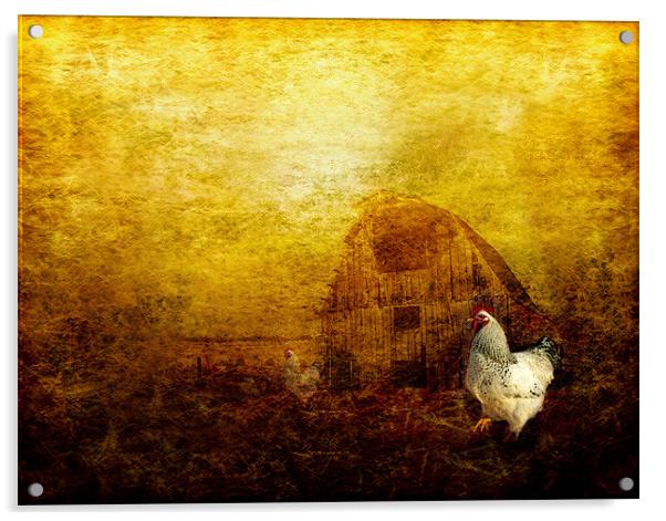 Memories of a Farmyard Acrylic by Debra Kelday