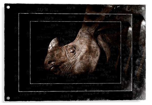 Rhino Protection Acrylic by Debra Kelday