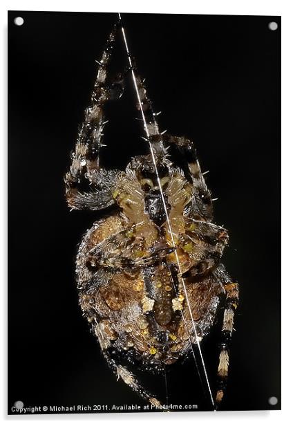 Sidney Spider. Acrylic by Michael Rich