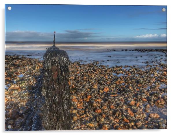 Seaweed covered groyne on Sheringham beach Acrylic by Scott Simpson