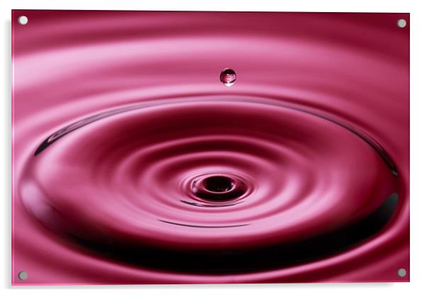 A Single Drop Acrylic by Paul Shears Photogr