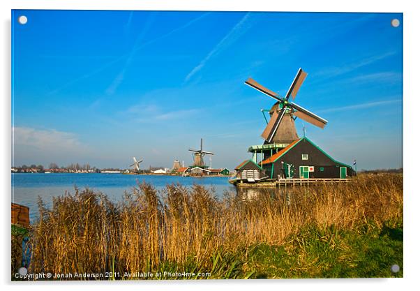Windmills on De Zaan Acrylic by Jonah Anderson Photography
